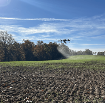 DJI Agras T50 insecticide on wheat